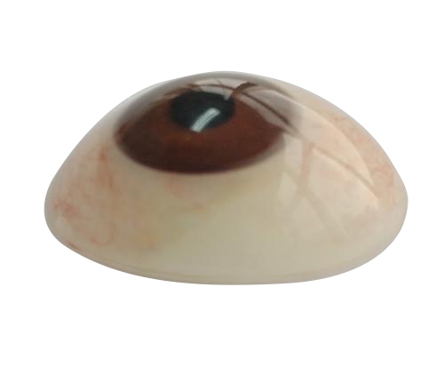 奉贤微雕义眼定制